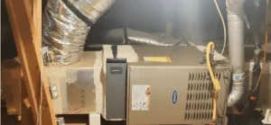 Team Members Image 5