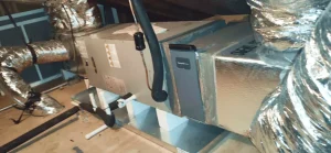 Team Members Image 4